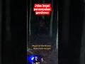 di hadang gendrowo #camping #viral #ghost#trending#sceror #jurnalrisa#shortvideo