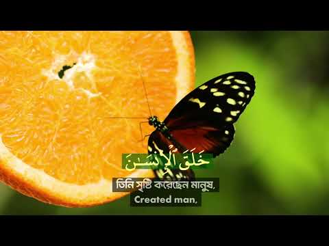 মধু মাখা কণ্ঠে সূরা আর রাহমান তেলাওয়াত┇আরবি, বাংলা ও ইংরেজি সাবটাইটেল সহ ┇Quran Visualization