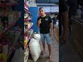 mas uma entrega concluída #mandioca #agro #reidafarinhaouro