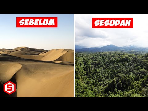 Video: Tanah Gurun