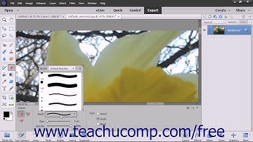 Photoshop Elements 15 Tutorial The Eraser Tool Adobe Training