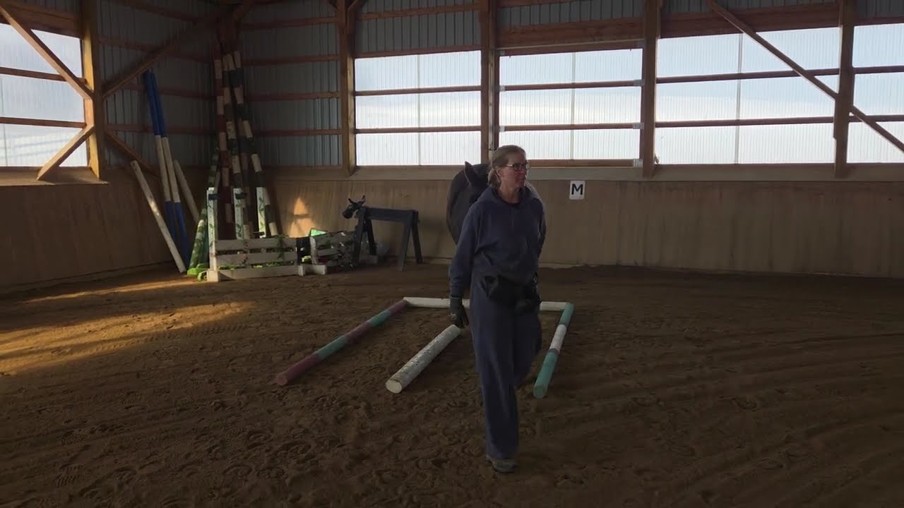 Prince Gold wo February 2026