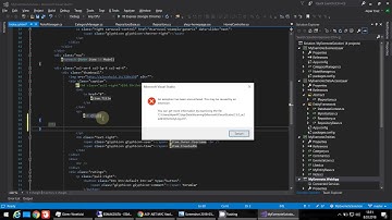 Virtual Studio 2017 - Error - An exception has been encountered