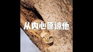 202001 从内心原谅他51488