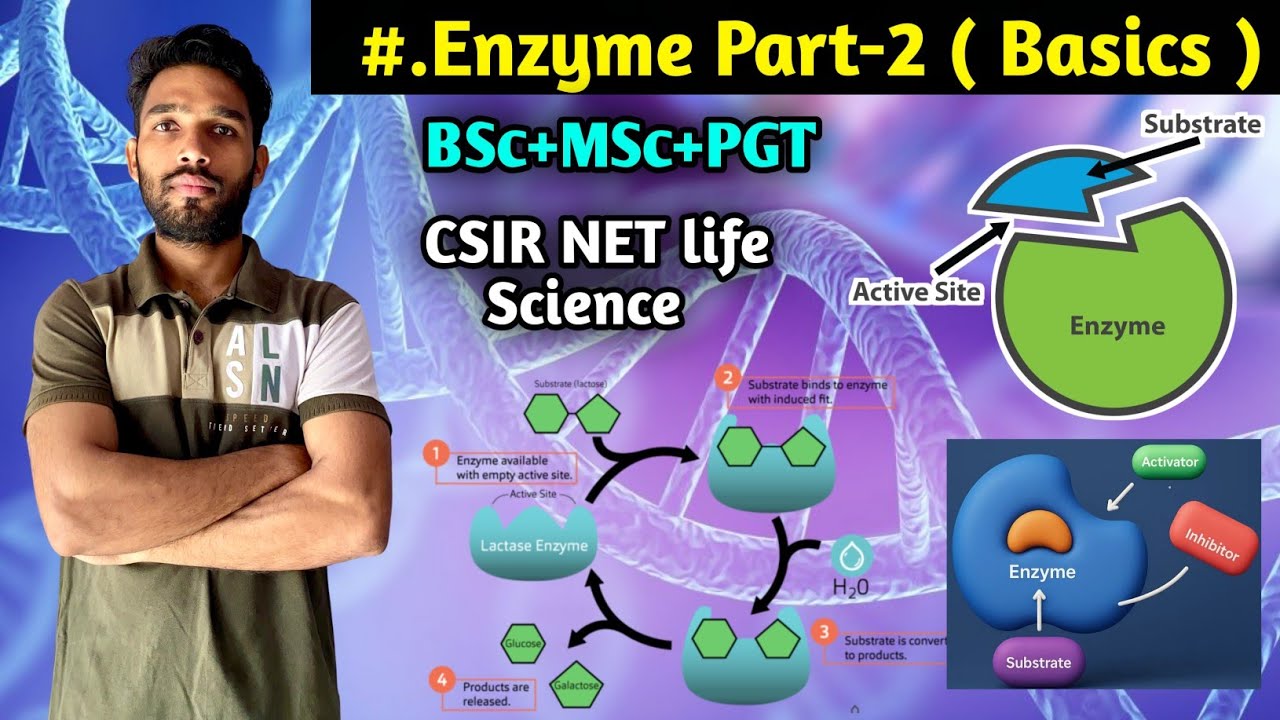Enzyme Part-2 || Holoenzyme || Coenzyme || Ribozyme || BSc || MSc || CSIR NET || PGT Biology