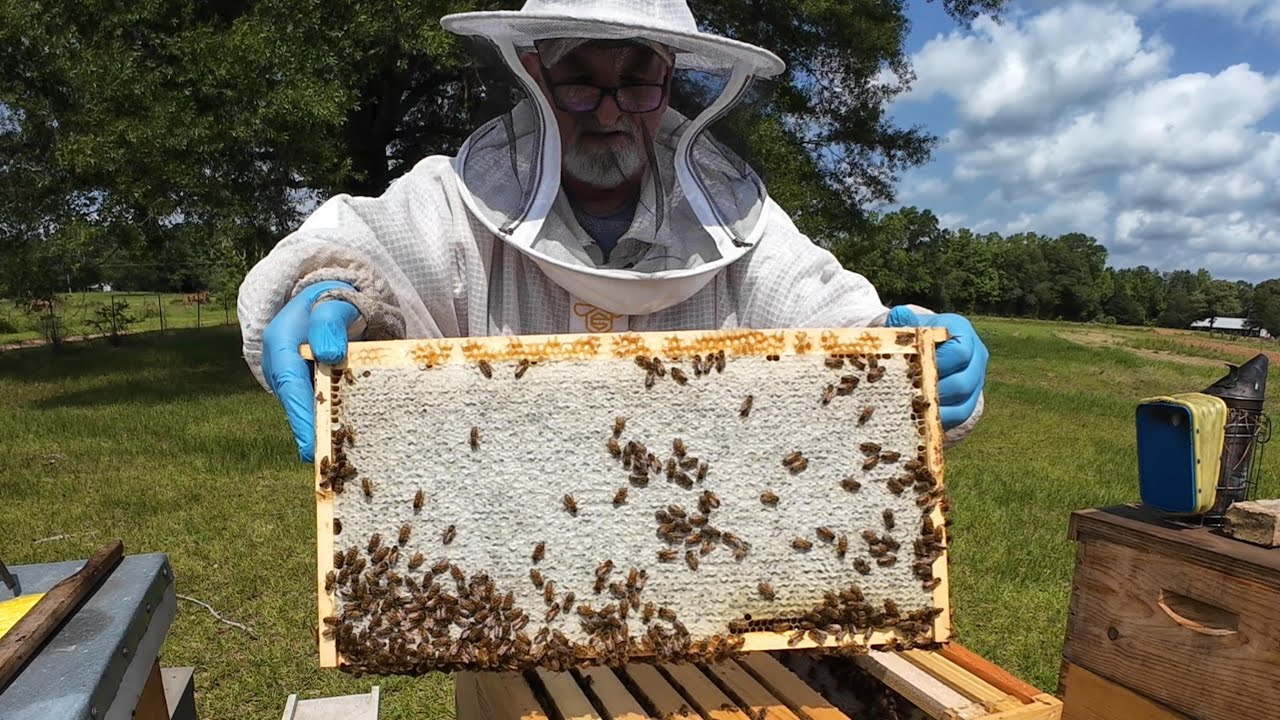 Pulling Honey Frames at the Taylor Yard 5-20-2025