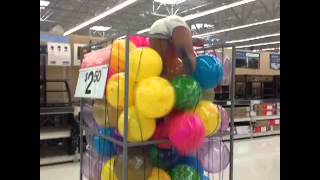 The Epitome Of Failure Vinetown Funny Vine Videos