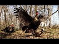 20 Gobblers in 20 Minutes! (ULTIMATE Turkey Hunting Compilation)