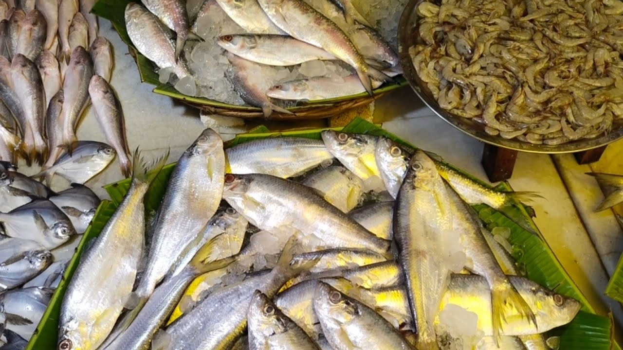 Fish market||Fish cutting ||North 24 porgons