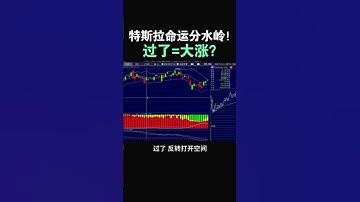 【特斯拉命运分水岭！过了=大涨？】11/26/2025 - PT 4 #特斯拉股票 #美股 #股哥说美股 #tesla #马斯克 #AI #FSD #木头姐 #Robotaxi