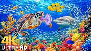 Dive Into the Mesmerizing Underwater Realm🐳Marvel at Sea Animal in The Best 4K ULTRA HD Aquarium...