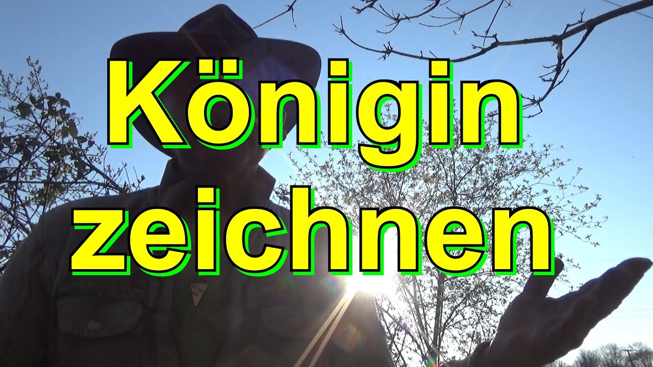 Königin finden und zeichnen