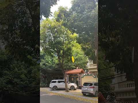 7 tháng 5, 2025