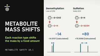 How Are Metabolites Found | Metabolite Identification (Metabolite Identification and Safety 10.1)