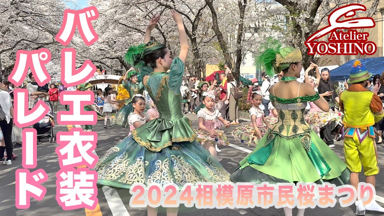 桜柄踊り衣装6枚組 53002.jpg