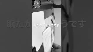 勉強タイムラプス　2022/060401
