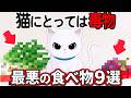 【命に関わる】猫にとっては『猛毒になる食べ物』