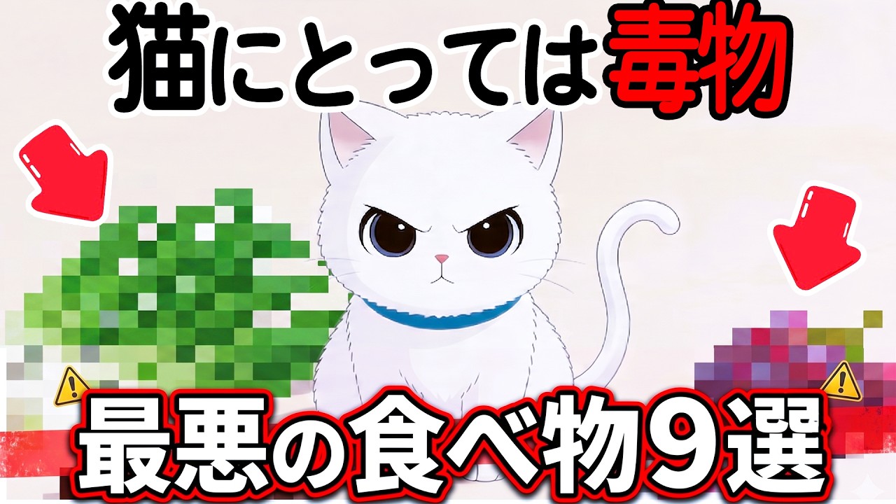 【命に関わる】猫にとっては『猛毒になる食べ物』