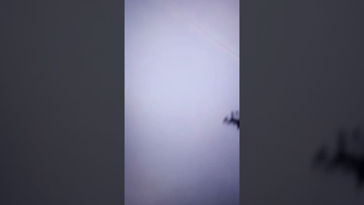 None Chuck's & Bite-E: Space Machine Shortie {dubbá}