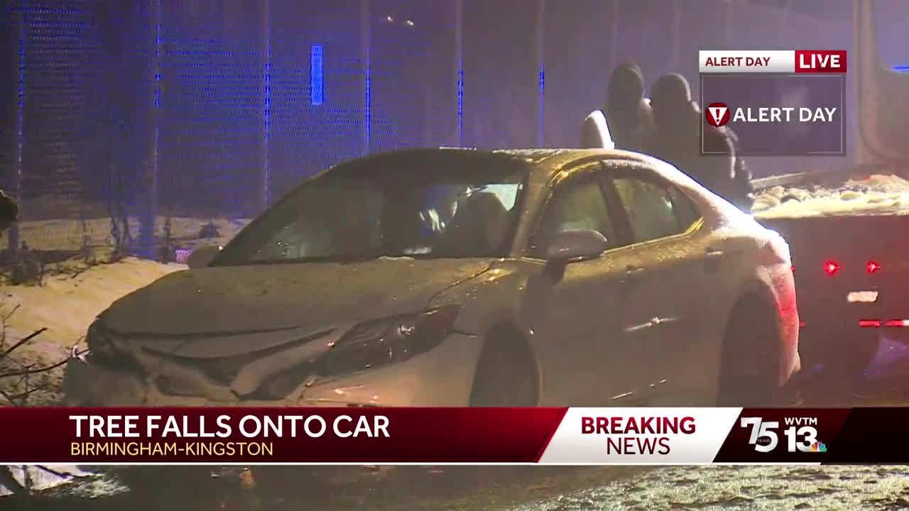 No reported injuries after tree falls on car in Birmingham - YouTube