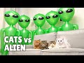 Cats vs Alien | Kittisaurus