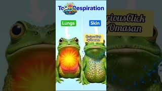 It Doesn’t Just Use Lungs...#Amphibians #NatureFacts #MindBlowing #ViralVideo #TrendingNow #Shorts