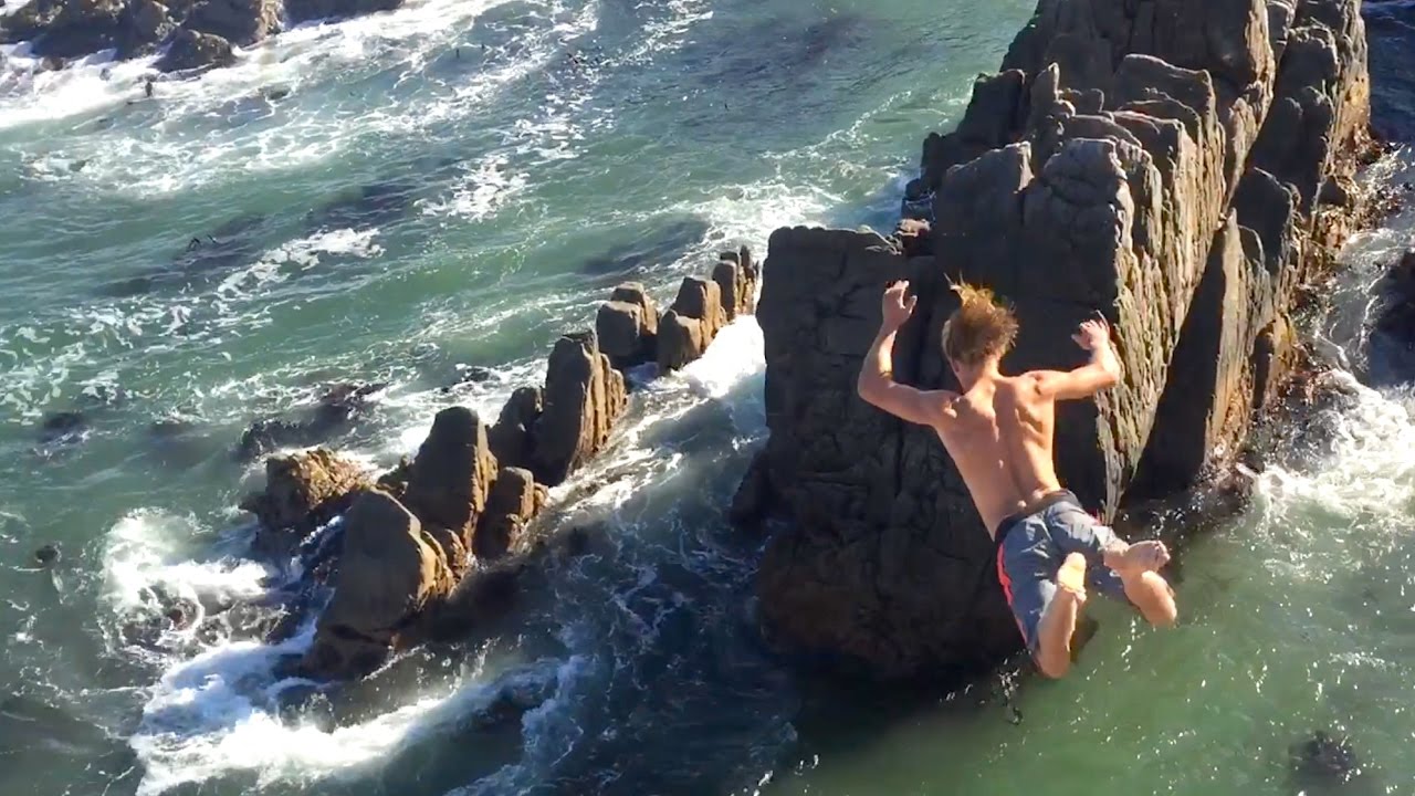 CLIFF DIVING WITH GREAT WHITE SHARKS YouTube