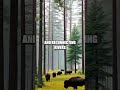 Historic Rewilding Efforts in Europe