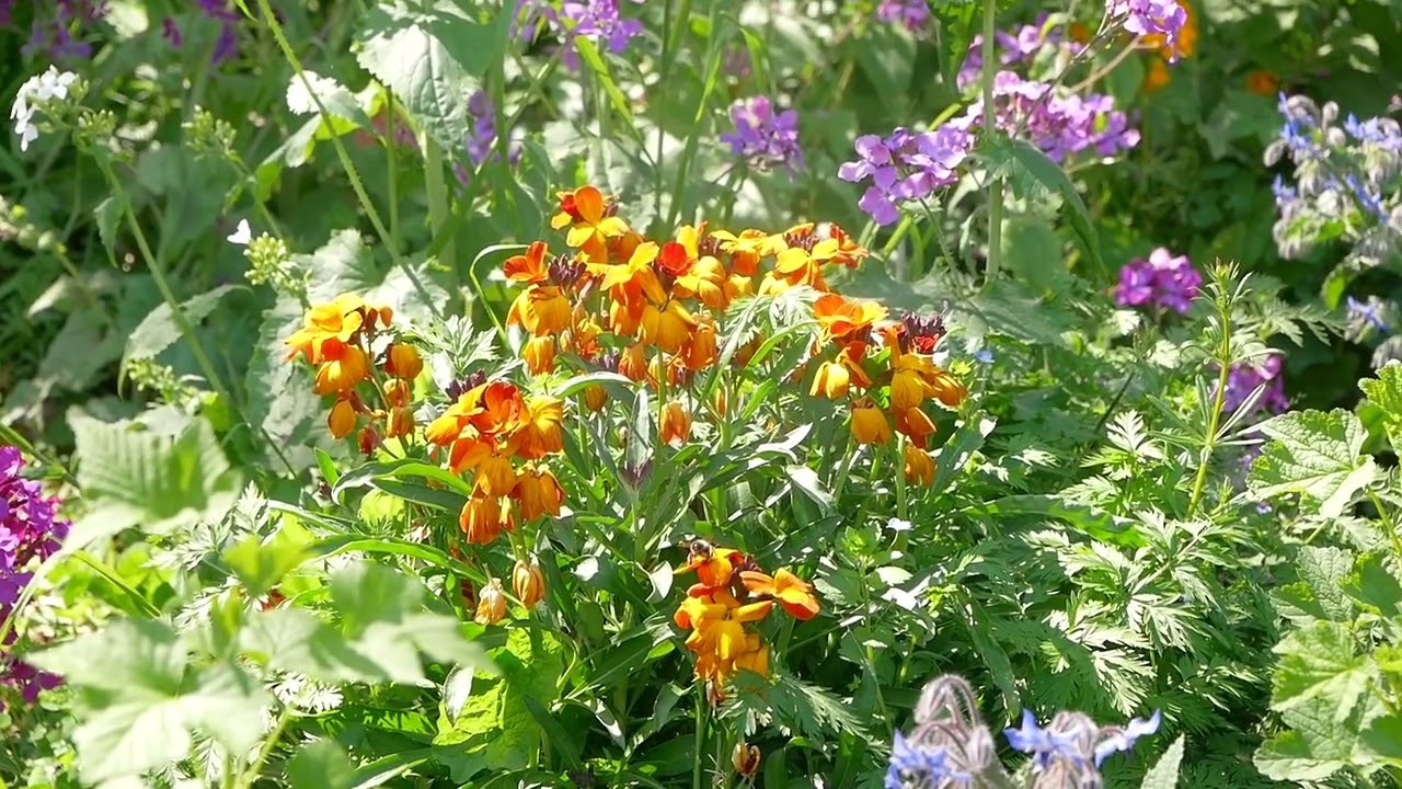 Feel Something - John Lander