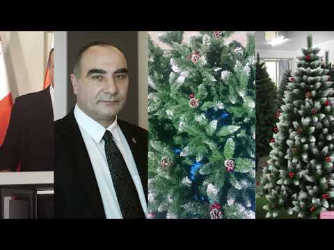 უფლებადამცველ გიორგი თევზაძის საახალწლო მილოცვა, 2021, PKTV