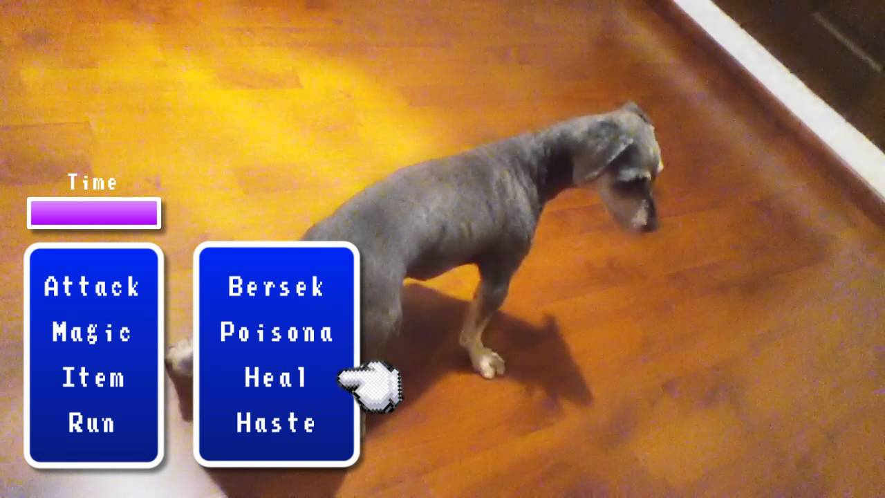 ff7r intermission dog ff7r intermission dog