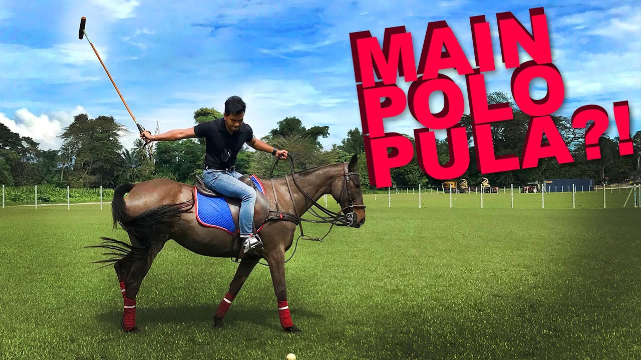 POLO KUDA TU APA? #BOOKDOC TU APA? MEH TENGOK! - Alif Satar + Chevy