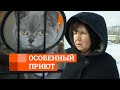 Приют для животных-инвалидов | E1.RU