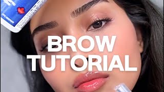 STRAIGHT BROWS TUTORIAL screenshot 2