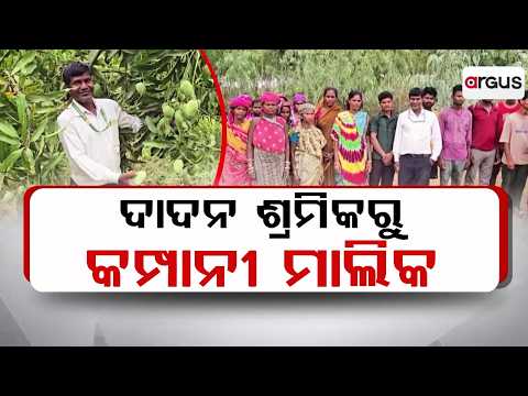 From Migrant Laborer To CEO: Inspiring Success Story Of Krishna Chandra Nayak In Nabarangpur