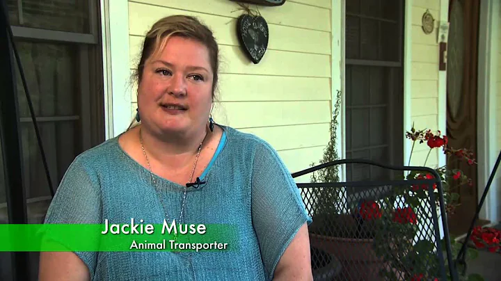 Animal Rescue - Jefferson Co.
