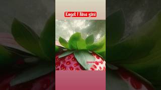 Jadi gini ya, tebak gambarnya.. #tebakanreceh #viral #fypシ #shorts