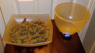 Mandarin XL autoflower final yield Ganja Farmer