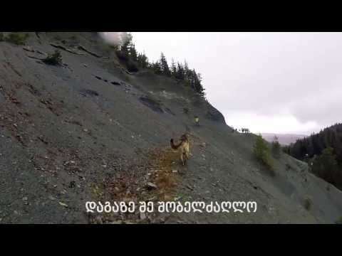 ევტეხიჩ! დაგაზე ევტეხიჩ! - Le one Emotions