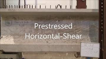 Experimental Comparison between Flexure and Shear Behavior