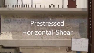 Experimental Comparison between Flexure and Shear Behavior