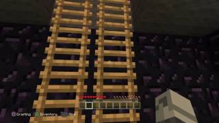 Minecraft Enderbrine House