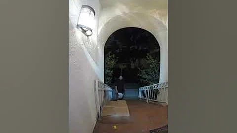 A thief getting fat shamed 😂😂