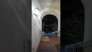 A Thief Getting Fat Shamed