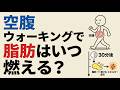 科学的解説：空腹状態で歩くと、内臓脂肪はいつ燃え始めるのか？ “30分後”に起きる代謝スイッチ