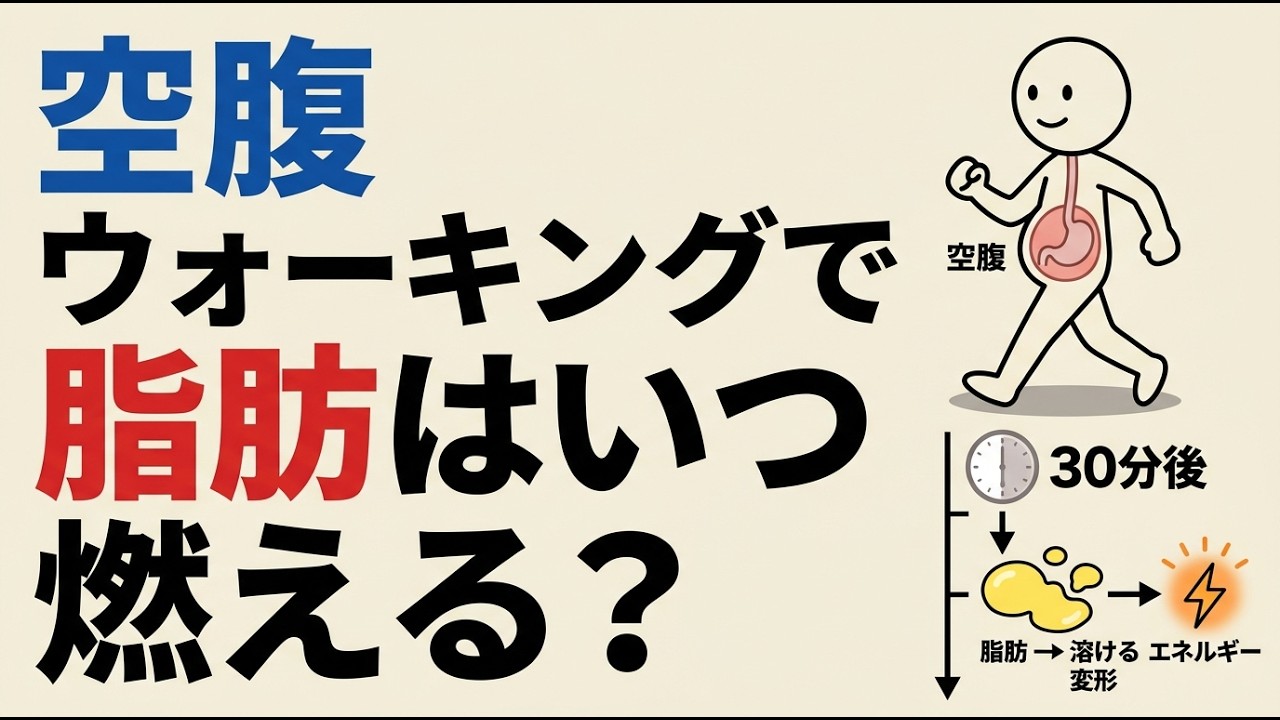 科学的解説：空腹状態で歩くと、内臓脂肪はいつ燃え始めるのか？ “30分後”に起きる代謝スイッチ