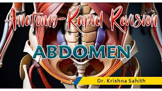 Anatomy of Abdomen Rapid Revision | Dr krishna Sahith