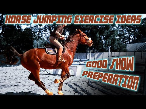 Horse Jumping Exercise Ideas — Great Show Preparation