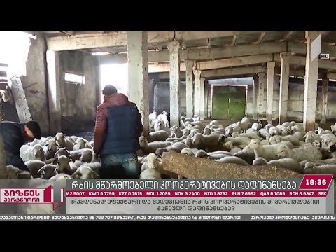 რძის მწარმოებელი სასოფლო-სამეურნეო კოოპერატივების მხარდამჭერ სახელმწიფო პროგრამაში ცვლილებებია