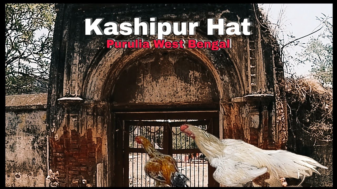 Purulia Kashipur Hat West Bengal / Kashipur Hat Purulia #kashipur #purulia #westbengal